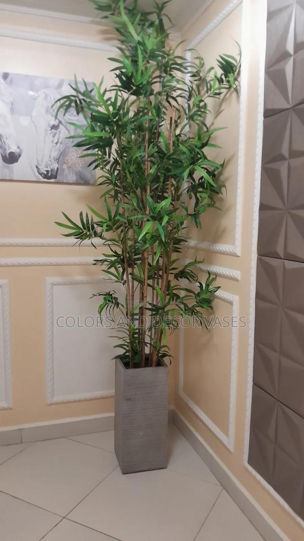 Bamboo Sticks With No Vase 2m - main view