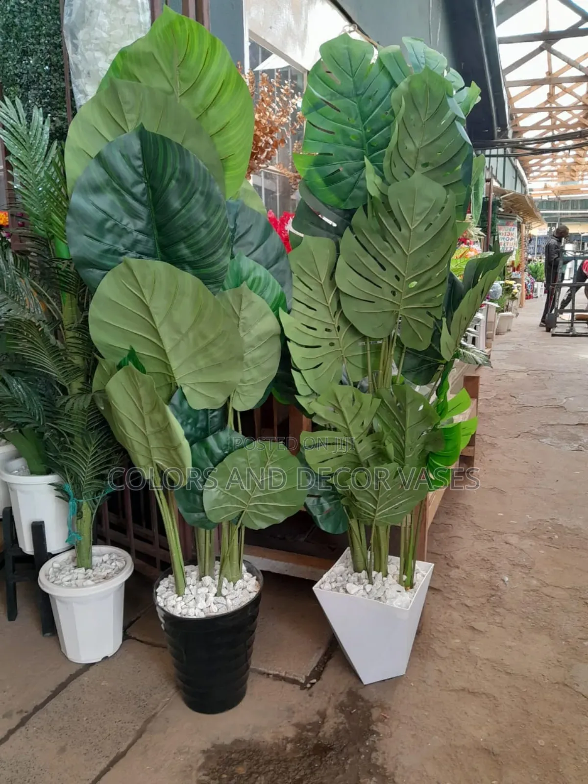 Big Plants With Vase and Pebble Stones