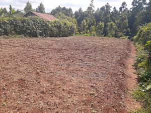 1/4 Acre Plot for Sale - thumbnail 2