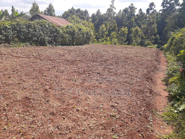 1/4 Acre Plot for Sale - main view