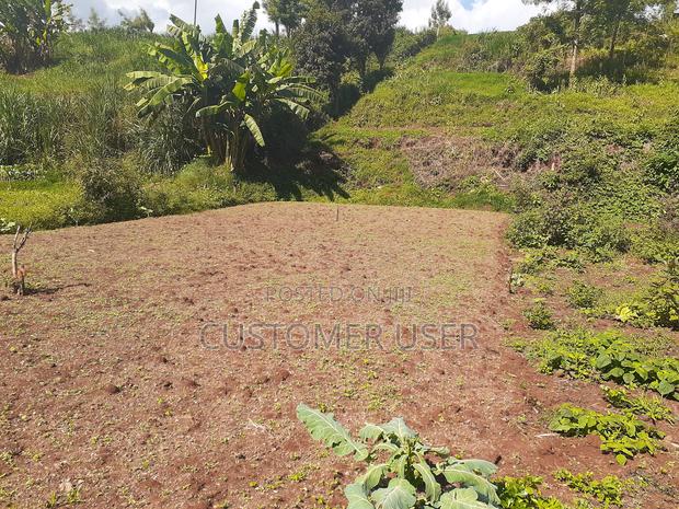 1/4 Acre Plot for Sale - thumbnail 3