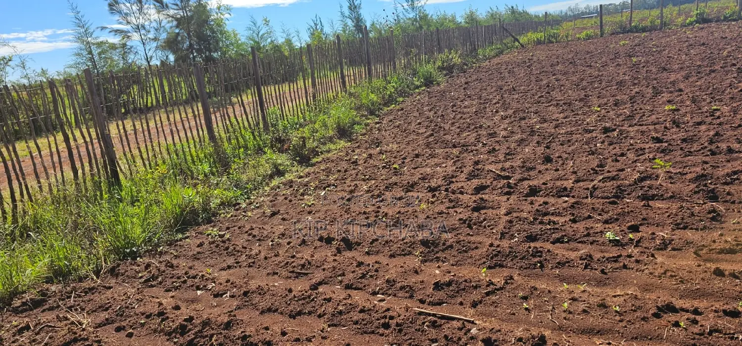 Plots for Sale in Marura Eldoret Opposite Terra