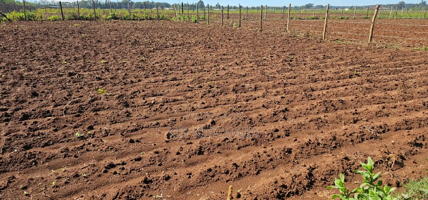 Plots for Sale in Marura Eldoret Opposite Terra