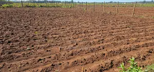 Plots for Sale in Marura Eldoret Opposite Terra