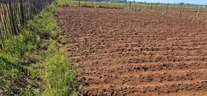 Plots for Sale in Marura Eldoret Opposite Terra