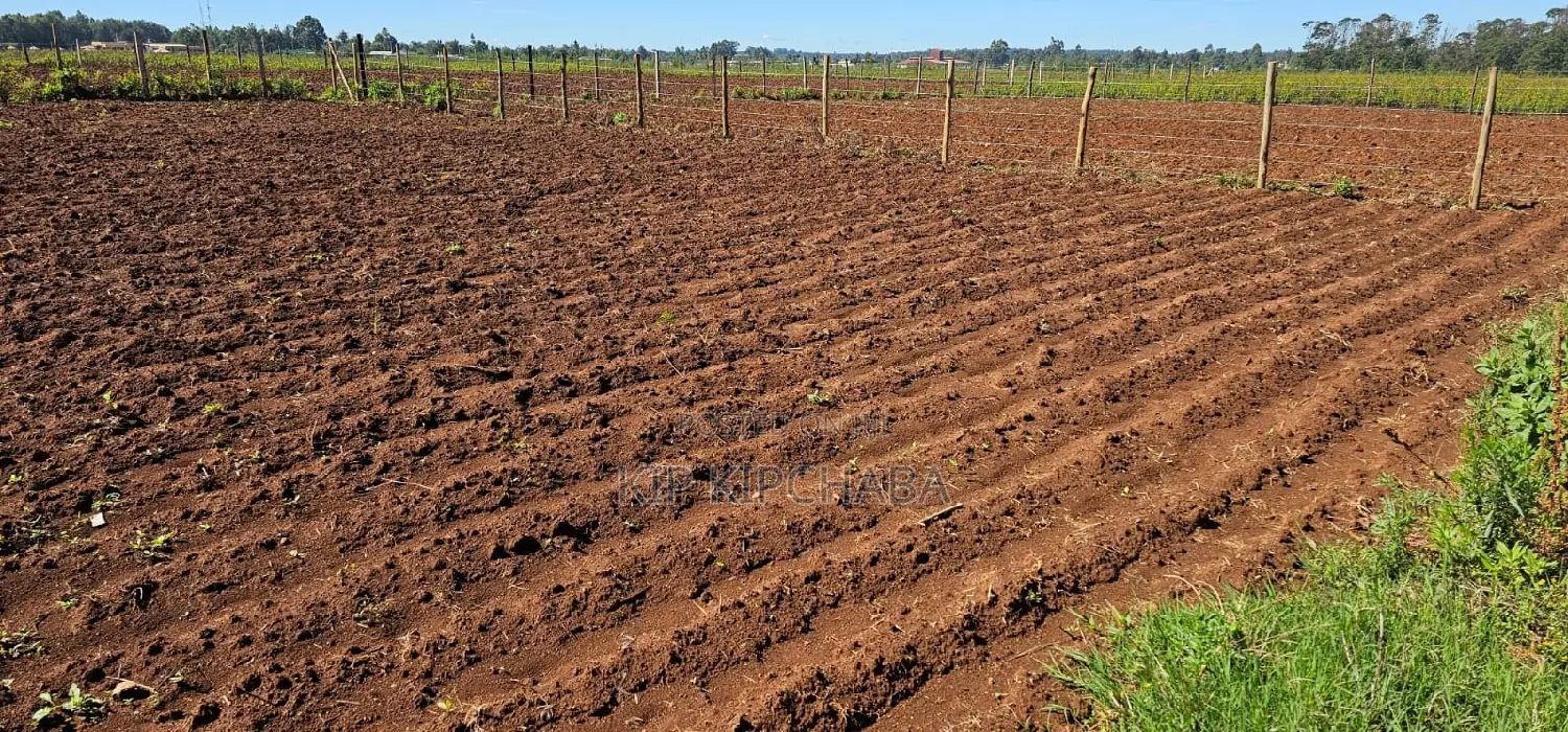 Plots for Sale in Marura Eldoret Opposite Terra