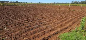 Plots for Sale in Marura Eldoret Opposite Terra