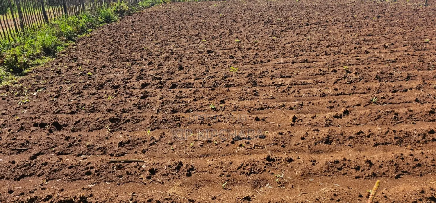 Plots for Sale in Marura Eldoret Opposite Terra