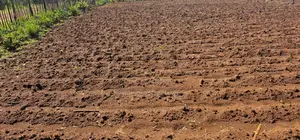 Plots for Sale in Marura Eldoret Opposite Terra