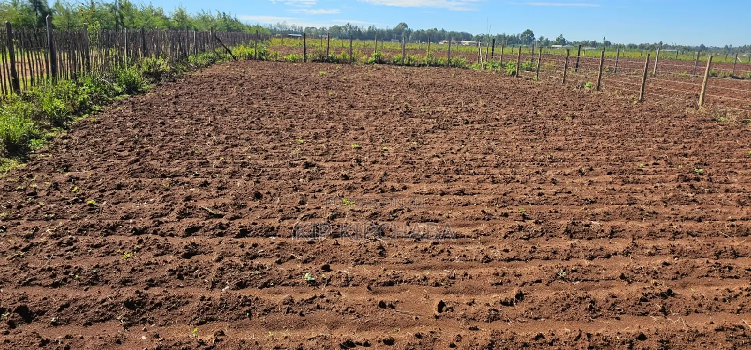 Plots for Sale in Marura Eldoret Opposite Terra