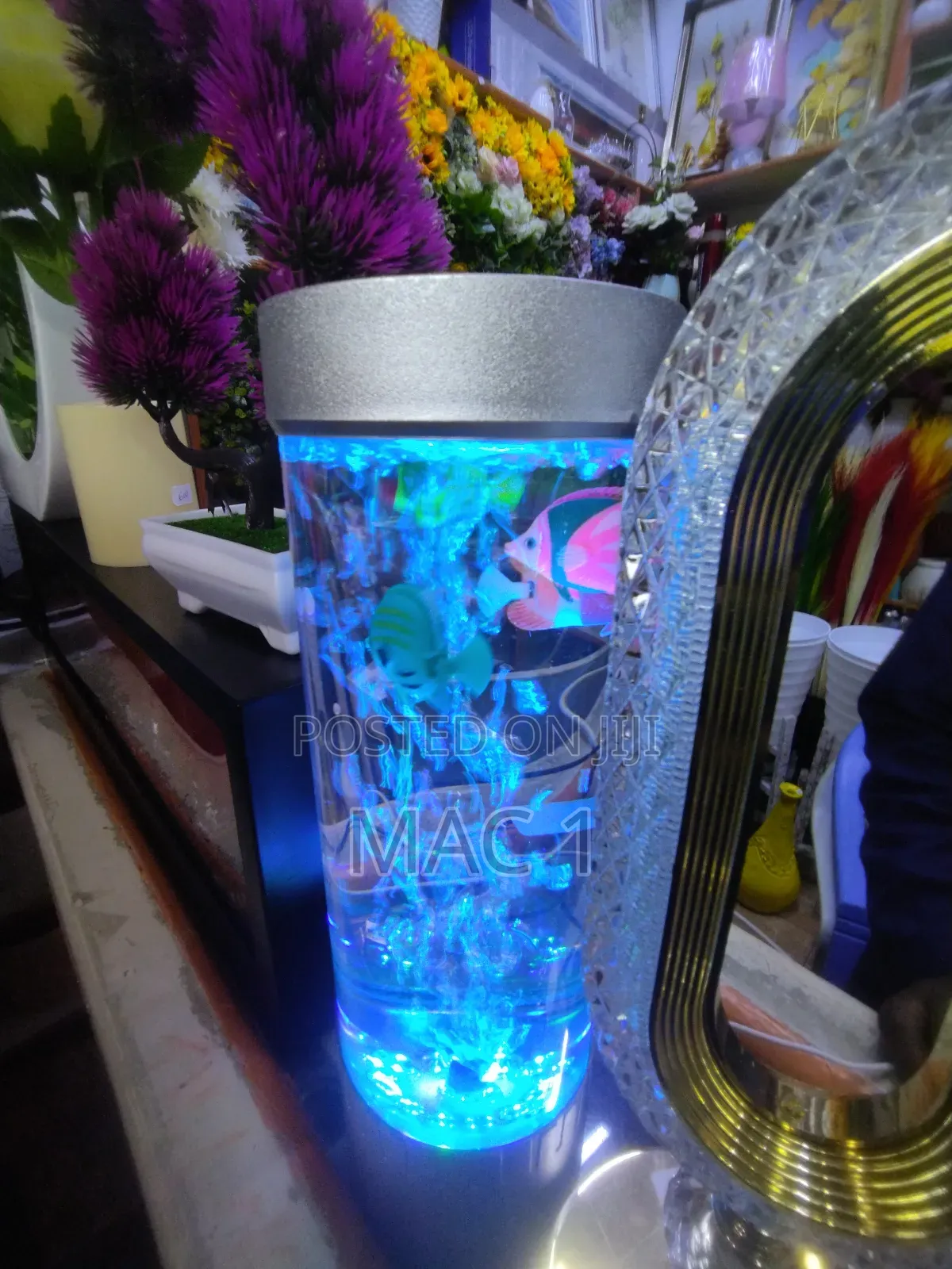 Brand New Bedside Aquarium Children Friendly Deco