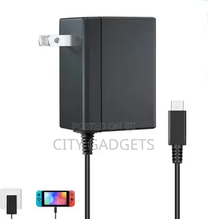 Nintendo Switch AC Adapter