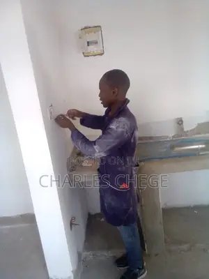 Electrical and Electronics Engineer