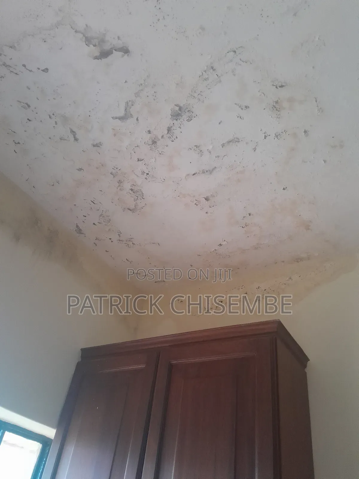 Damp Proof And Damage Wall Waterproofing And Other Services