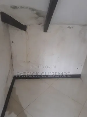 Damp Proof And Damage Wall Waterproofing And Other Services