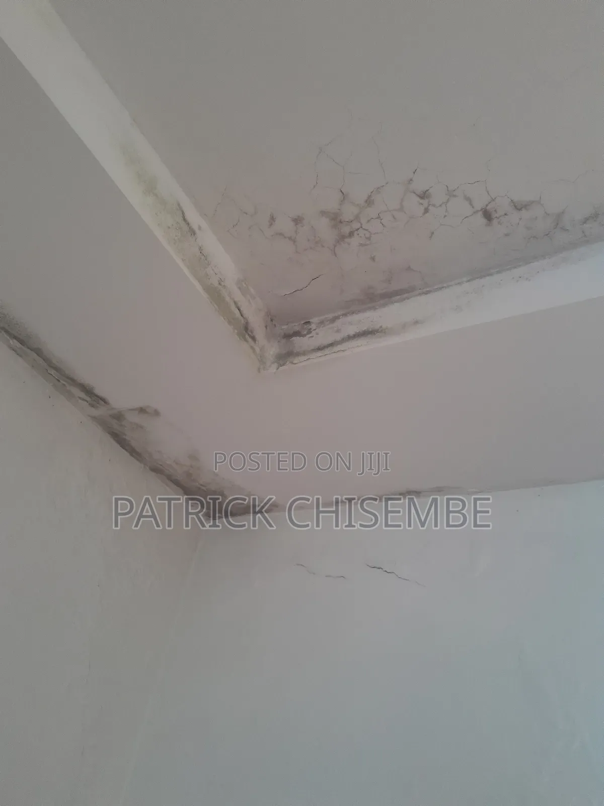 Damp Proof And Damage Wall Waterproofing And Other Services