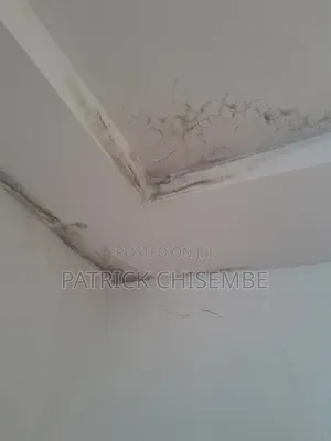 Damp Proof And Damage Wall Waterproofing And Other Services