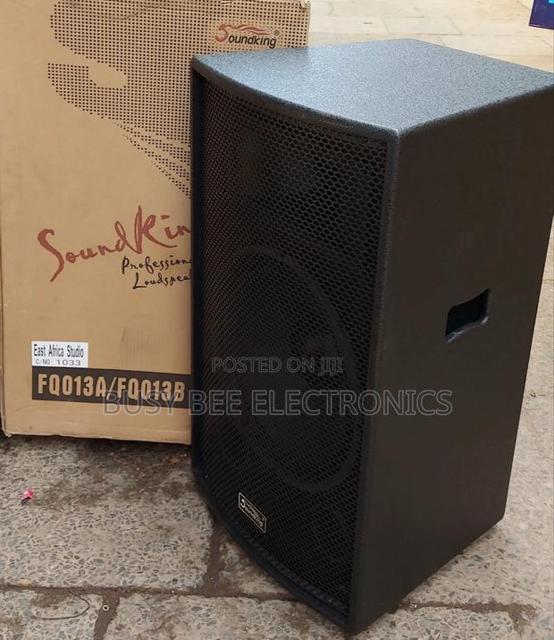 Soundking Wooden 15" Speaker - main view