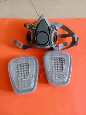 Renovation Safety Mask