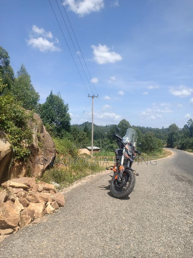 Tekken Simba 250 2022 Orange - thumbnail 5