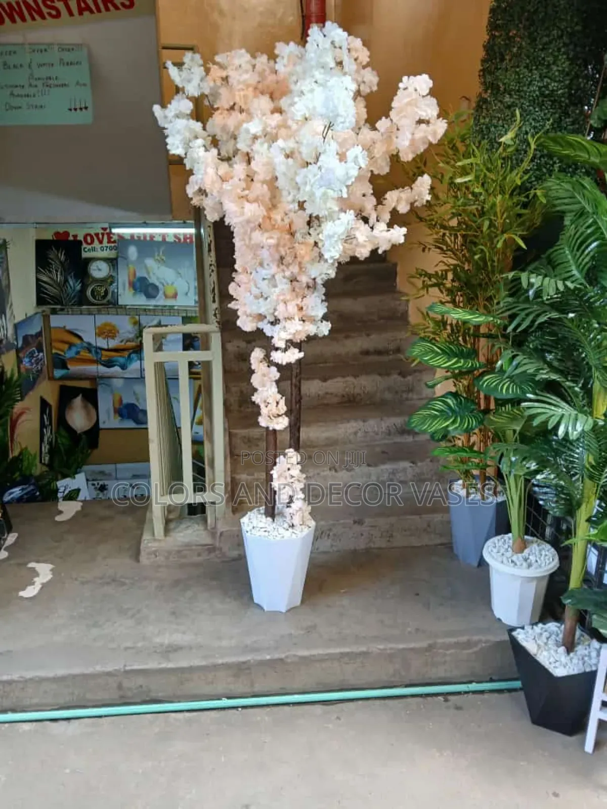 Blossom Tree 1.6m Available on Request