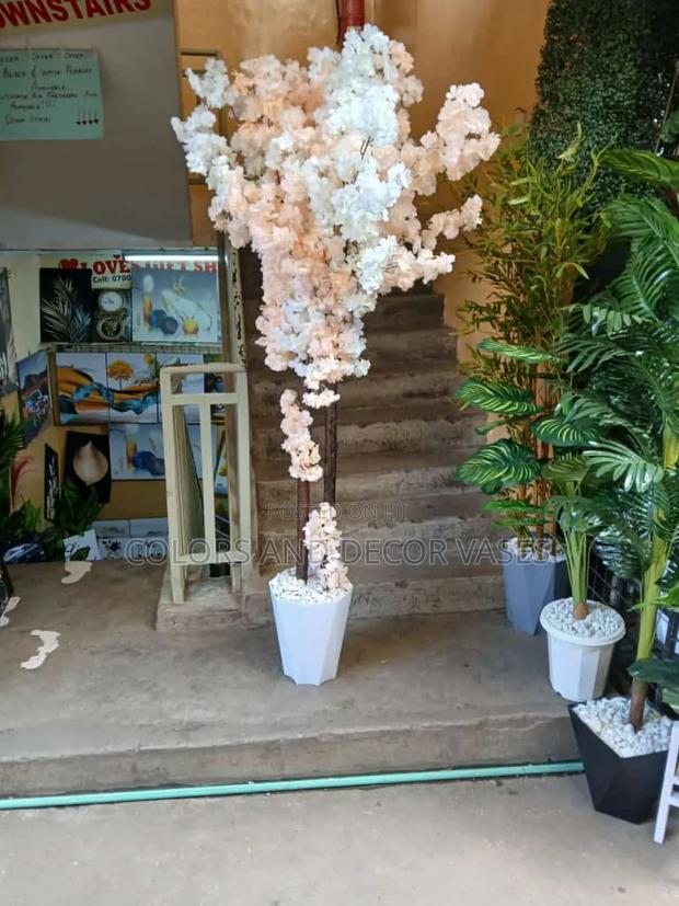 Blossom Tree 1.6m Available on Request - main view