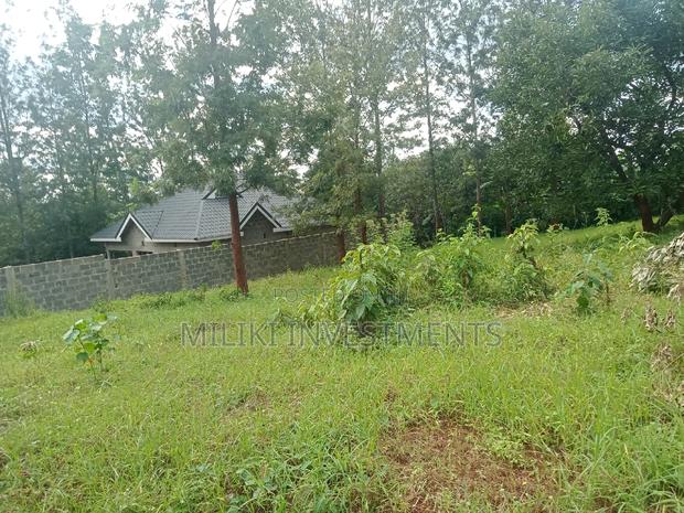 50 by 100 Plots on Sale at Kenol-Kaggia Road - main view