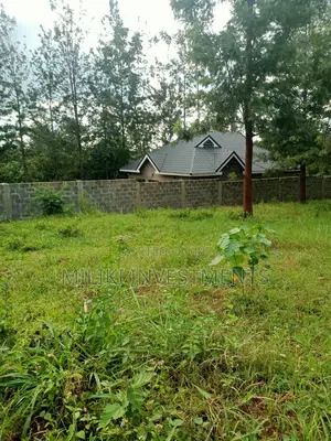 50 by 100 Plots on Sale at Kenol-Kaggia Road