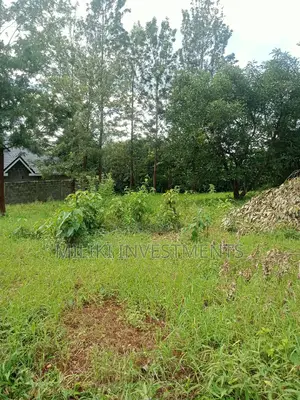 50 by 100 Plots on Sale at Kenol-Kaggia Road
