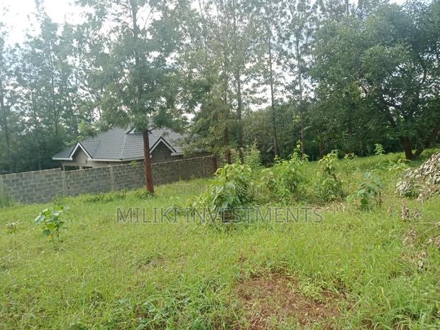 50 by 100 Plots on Sale at Kenol-Kaggia Road - thumbnail 4