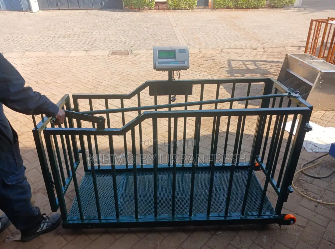 Goat / Sheep Weighing Machine.
