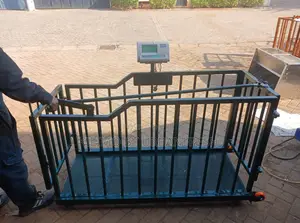 Goat / Sheep Weighing Machine.