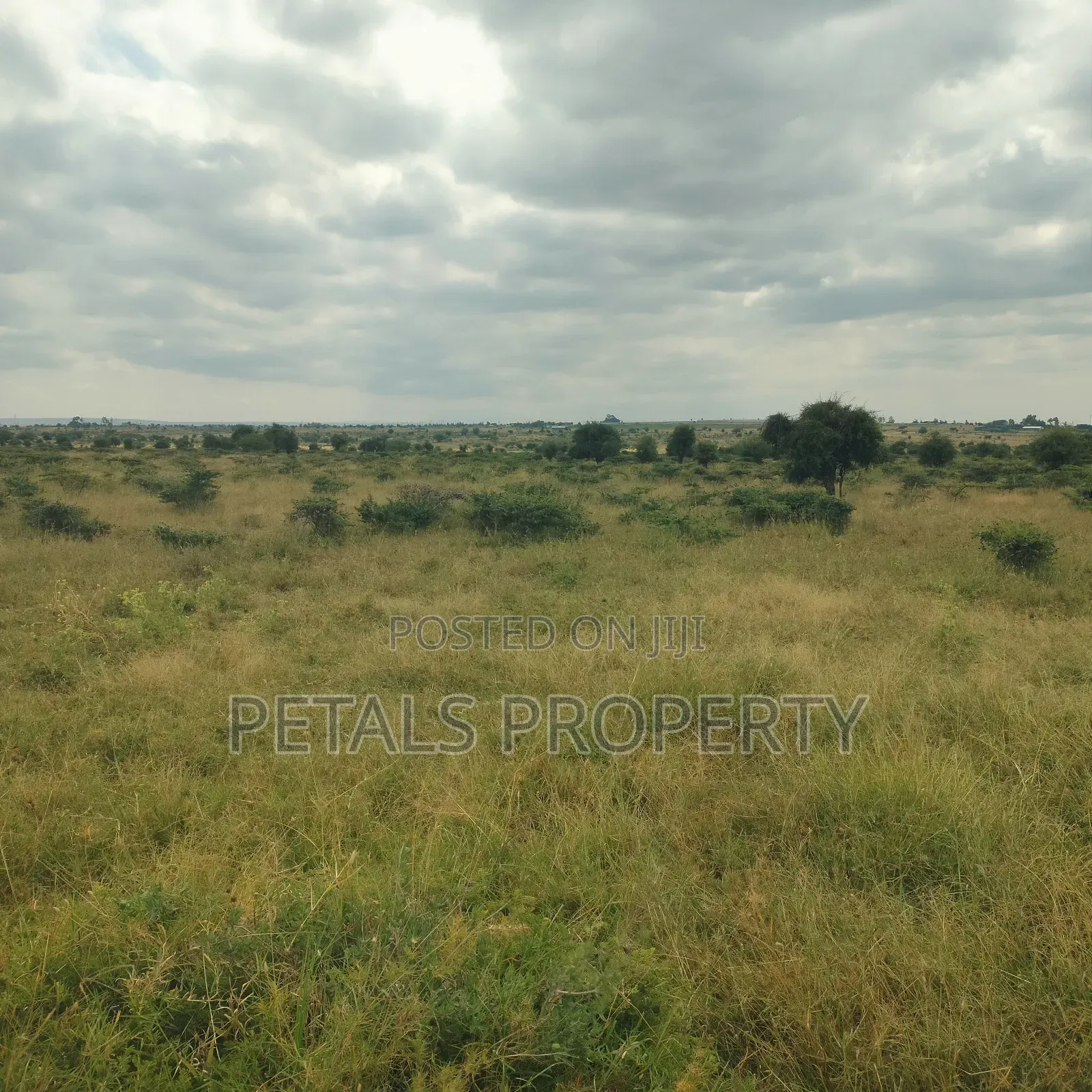 Prime 180 Acres for Sale in Isinya Kajiado Highway