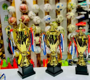 Gold Award Trophies
