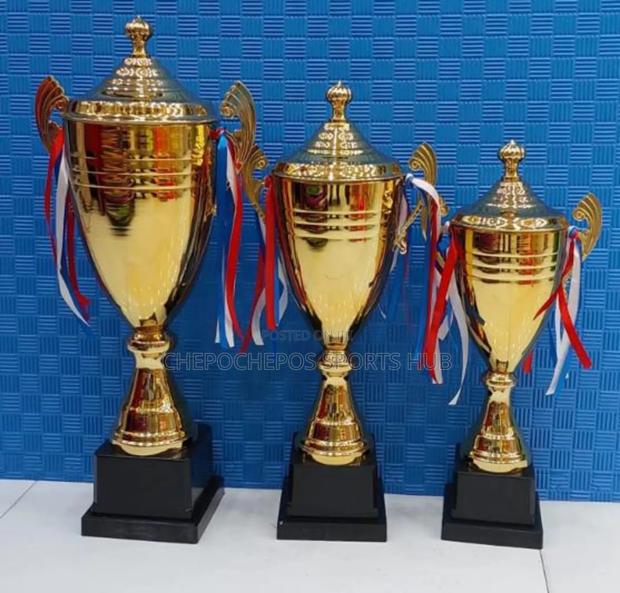 Gold Award Trophies - thumbnail 2