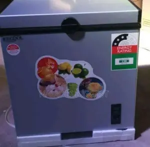 Original Ice Cool Freezer 60 Litre