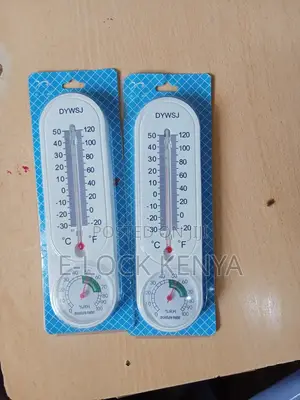 Professional Moisture Meter