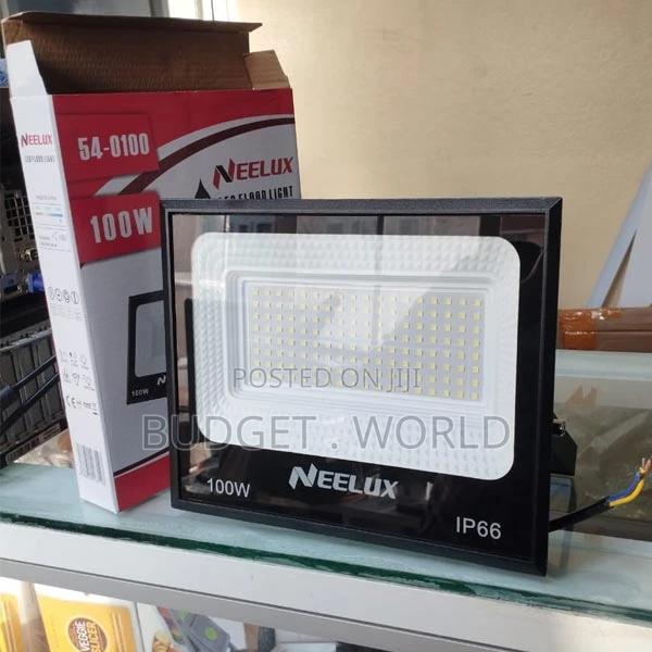 100 Watts 100w Ac-Electric Floodlight Moderately Priced 100w