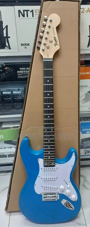 Fender Stratocaster Professional Electric Solo Guitar
