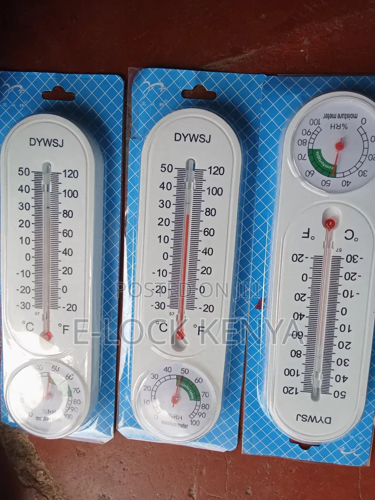 Dual Temperature Incubator for Pet and Room Thermometer