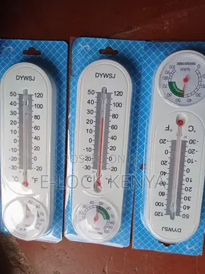 Dual Temperature Incubator for Pet and Room Thermometer