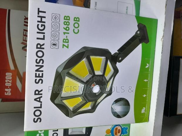 Solar Sensor Light
