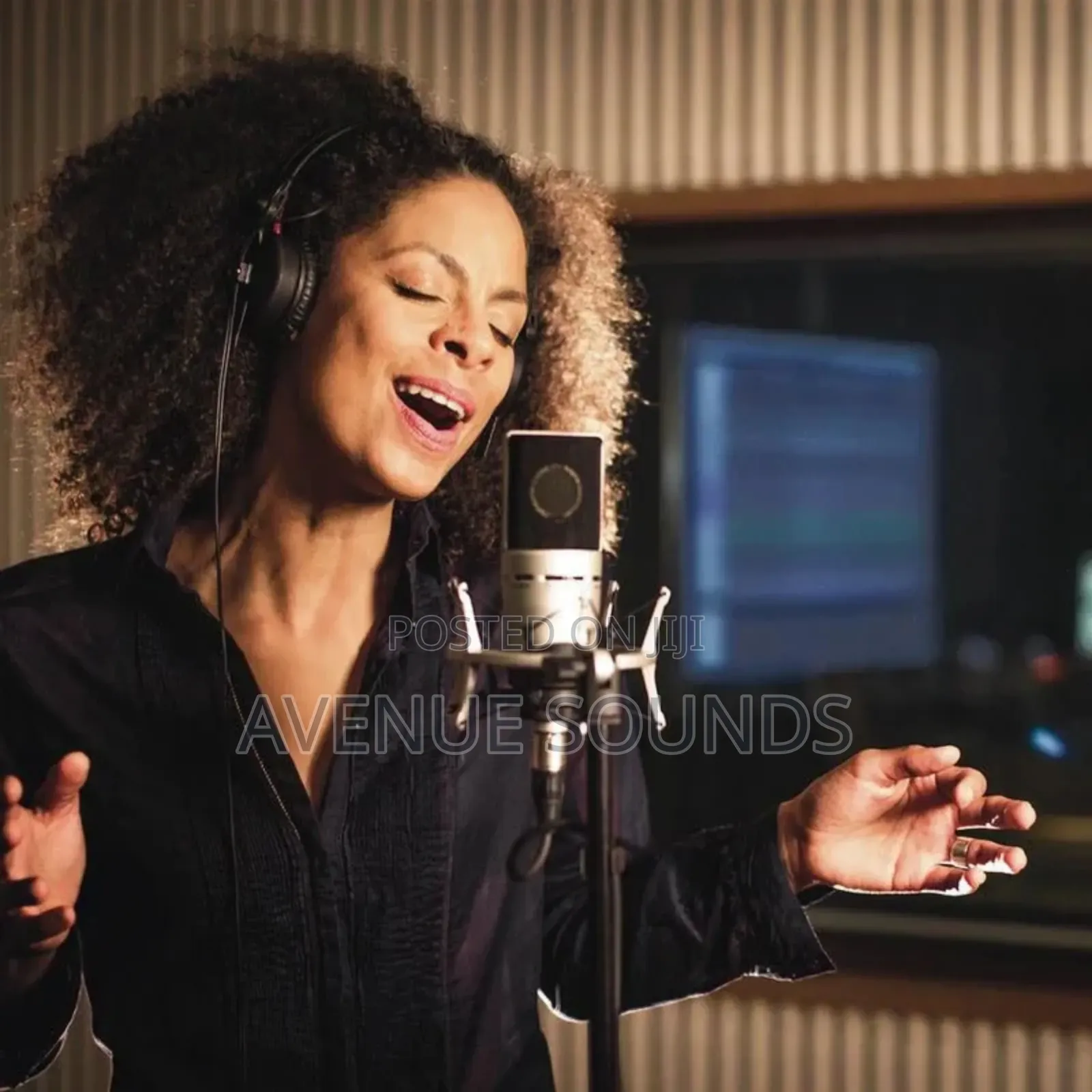 Senheiser Mk4 Condenser Microphone