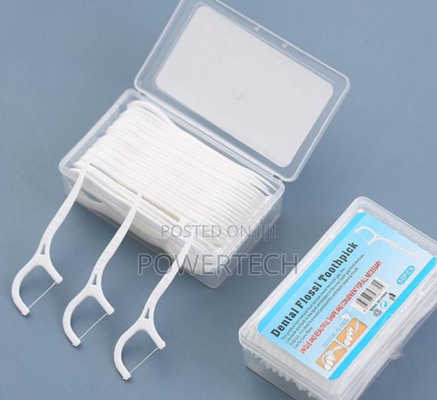 2 in 1 Dental Floss/Toothpicks - main view