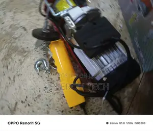 Electric Hoist Chain/Chain Hoist