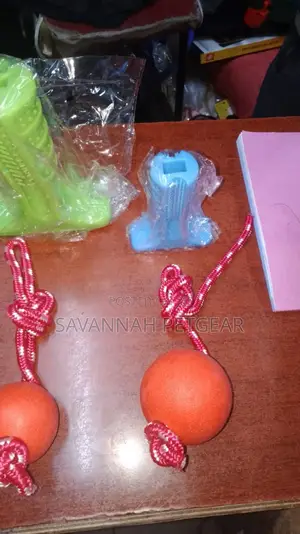 Dog Toy Ball With a Rope - Large Size