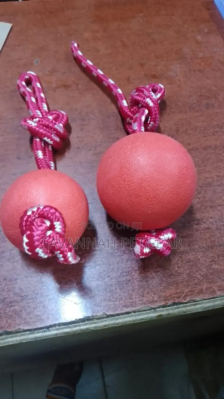Dog Toy Ball With a Rope - Large Size