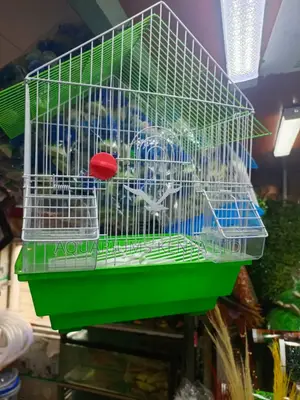 Small Lovebirds Cages,Cages for Lovebirds