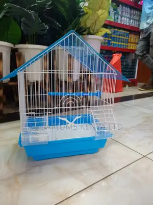 Blue Cage Budgies and Lovebirds Cages,Cage