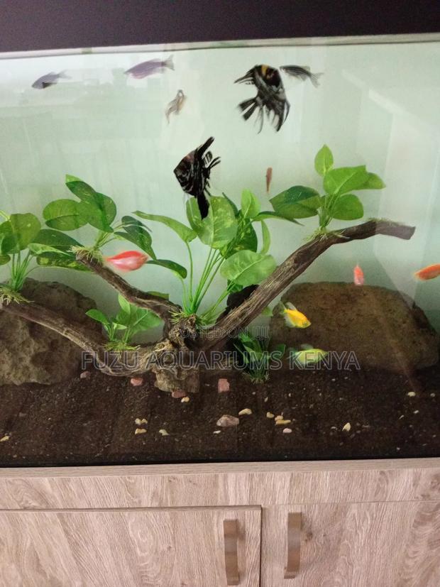 Skeek Aquarium Tank With Stand Fish - thumbnail 3